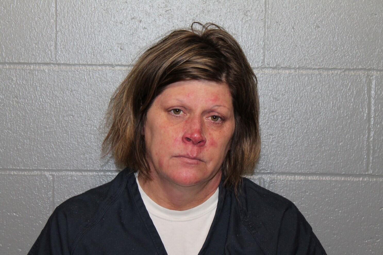 [IMAGE] Southern Minnesota woman arrested in cold cases of babies found dead in Mississippi River waters