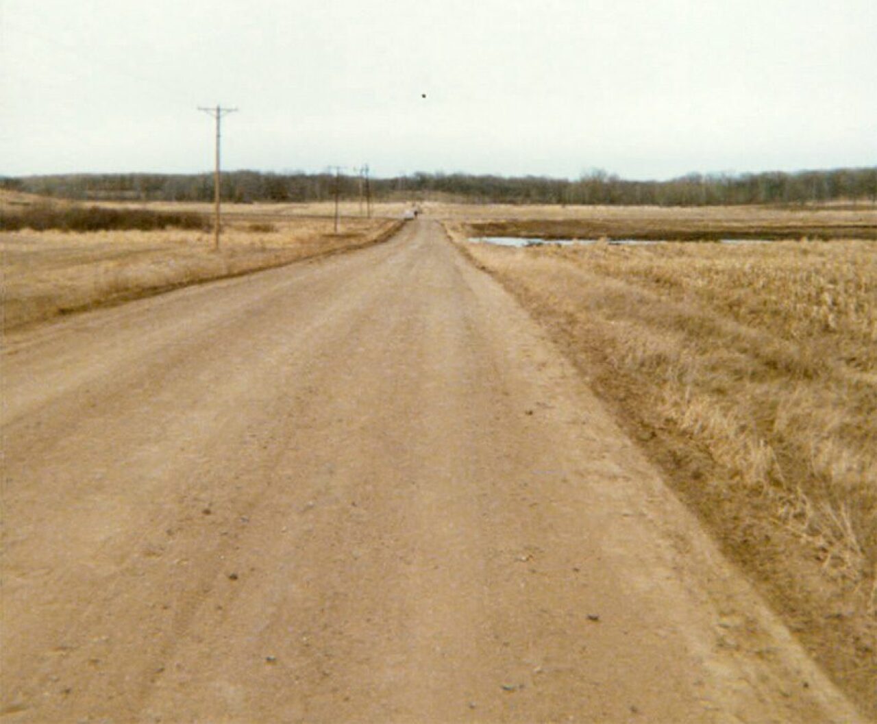 [IMAGE] Unidentified human remains investigation now closed