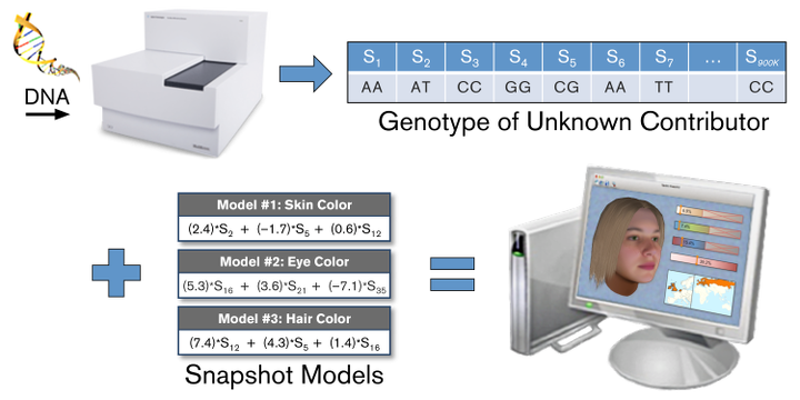 How Snapshot Works